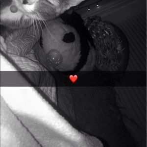 Meet your Posher, Citlally